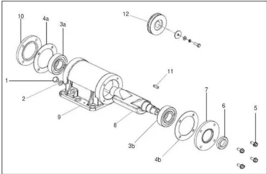 ALTRAD BELLE PCX 450 - Istruzioni di assemblaggio per il vibratore - 1