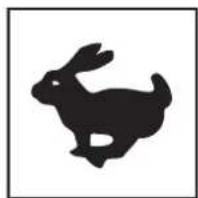 ALTRAD BELLE PCX 17/50A - B - Noise Decal (800/99951) - 1