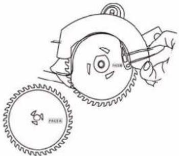 Holzmann DBS 125 - Changement de la lame de scie - 4