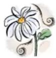 PALMAKO Claudia - Generelles - 1