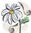 PALMAKO Claudia - In generale - 1