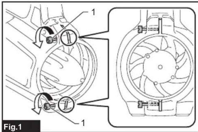 Fig.1