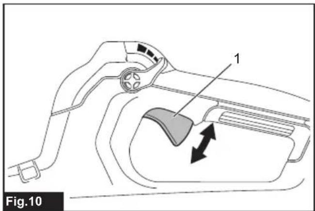 Fig.10