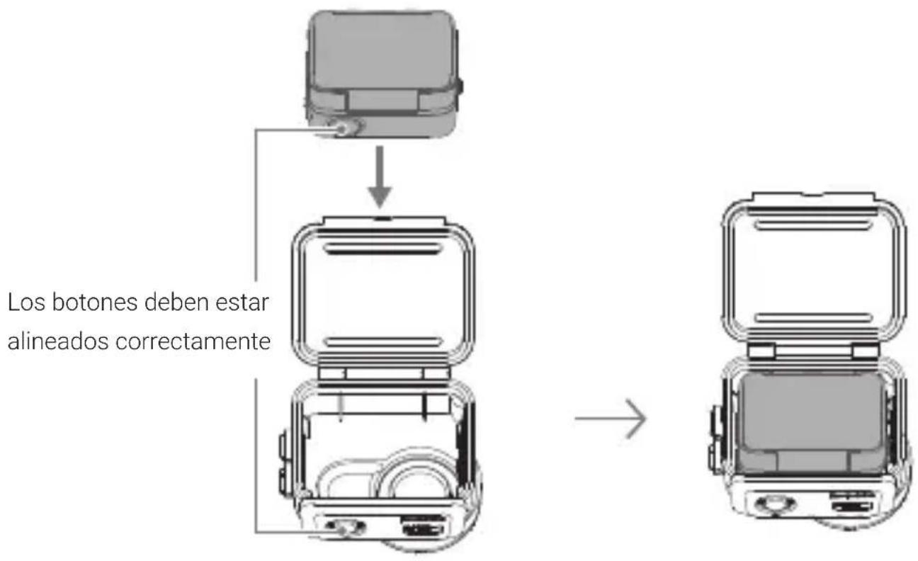Los botones deben estar alineados correctamente