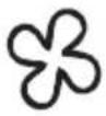 Arktic 232804 - Obstuga - 8