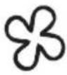 Arktic 232798 - Obstuga - 8