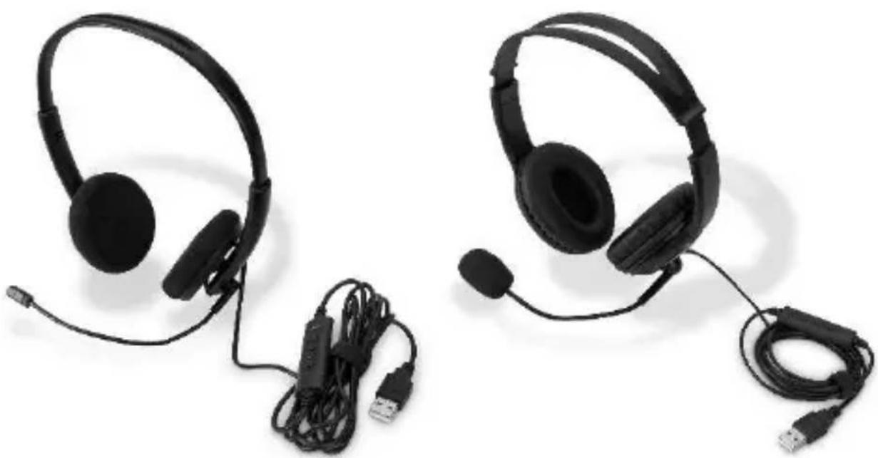 Digitus DA-12203 - Gürültü Azaltma Özellikle Mikrofonlu Kulak Üstü Ofis Kulaklığı, USB - 1
