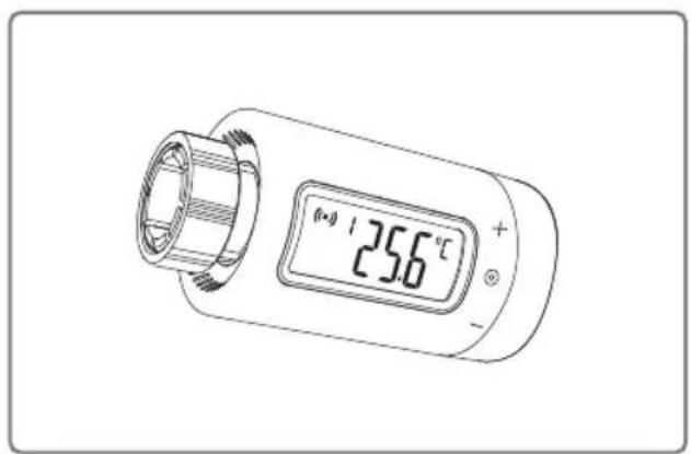 25.6°C