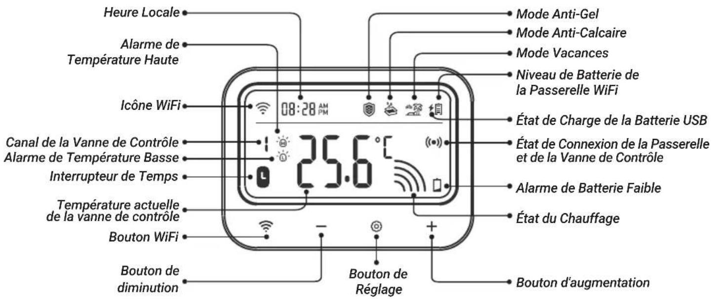 Heure Locale Alarme de Température Haute Icône WiFi Canal de la Vanne de Contrôle Alarme de Température Basse Interrupteur de Temps Température actuelle de la vanne de contrôle Bouton WiFi Bouton de diminution Mode Anti-Gel Mode Anti-Calcaire Mode Vacances Niveau de Batterie de la Passerelle WiFi État de Charge de la Batterie USB État de Connexion de la Passerelle et de la Vanne de Contrôle Alarme de Batterie Faible État du Chauffage Bouton d'augmentation