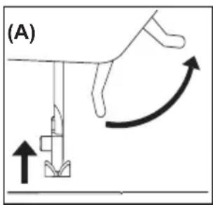 (A)