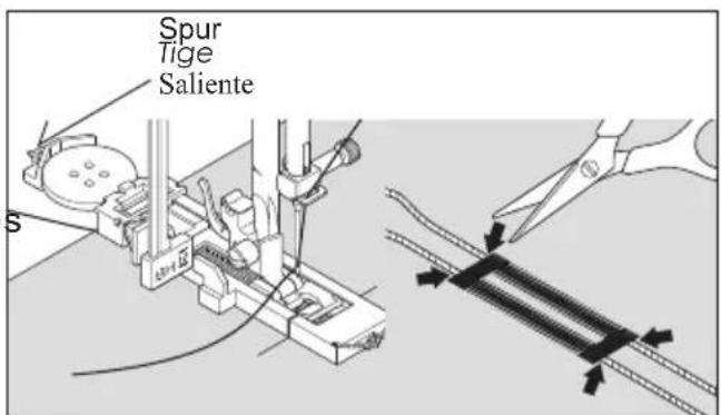 Spur Tige Saliente