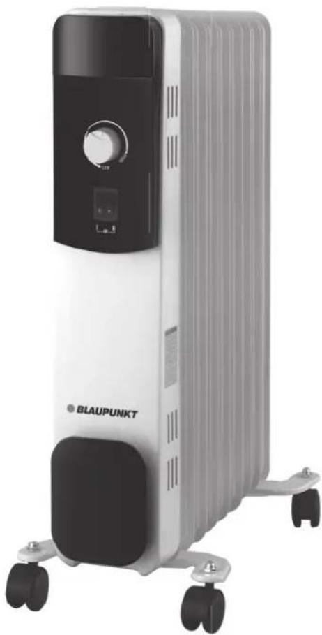 BLAUPUNKT BP1010 - 1