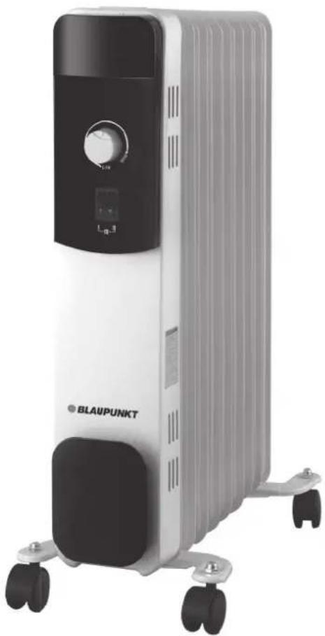 BLAUPUNKT BP1010 - 1