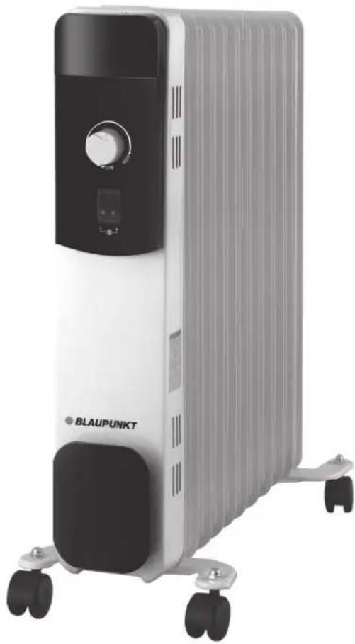 BLAUPUNKT BP1011 - 1