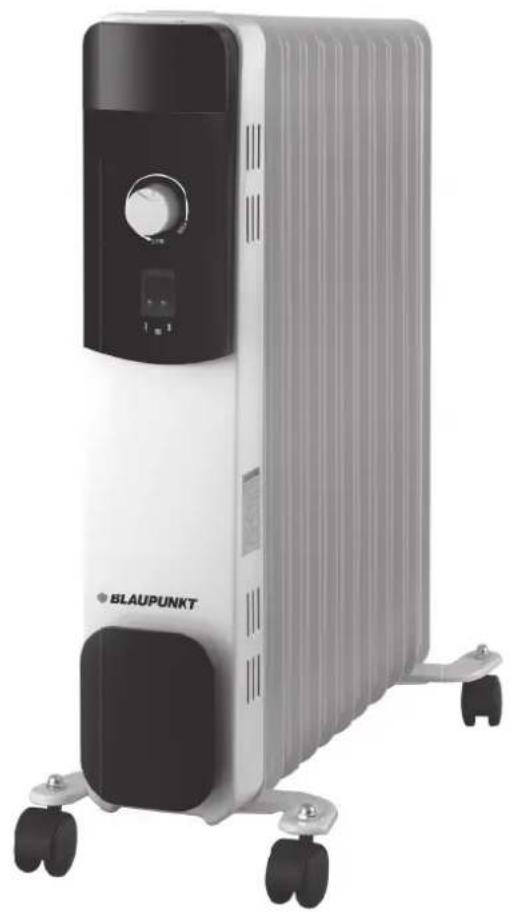 BLAUPUNKT BP1011 - 1