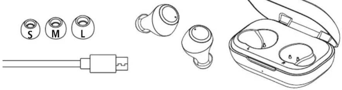 THOMSON WEAR7701 - 2.Packagecontents - 3