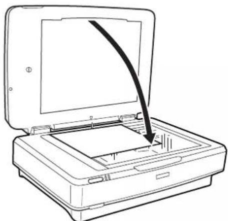 EPSON Expression 13000XL - Numériser des originaux par réflexion (autres que des pellicules) - 3