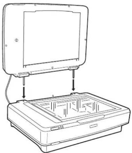 EPSON Expression 13000XL - Installation de l'unité pour transparens - 2