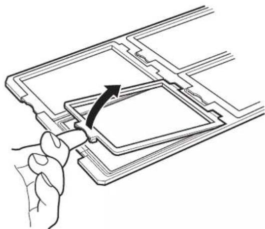 EPSON Expression 13000XL - Plaque 4 × 5 pouces - 1