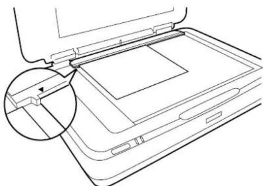 EPSON Expression 13000XL - Pellicule de taille non standard - 1