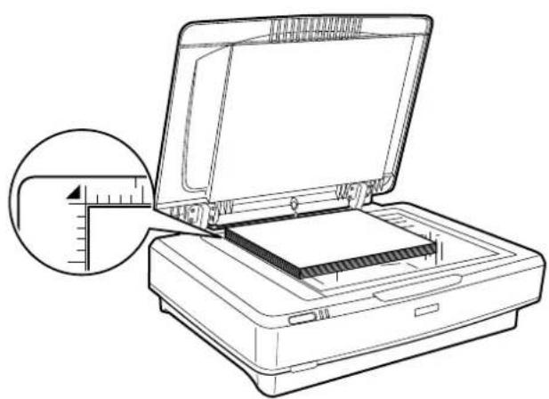 EPSON Expression 13000XL - Important: - 1