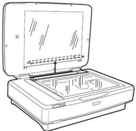 EPSON Expression 13000XL - Numériser des originaux par réflexion (autres que des pellicules) - 1