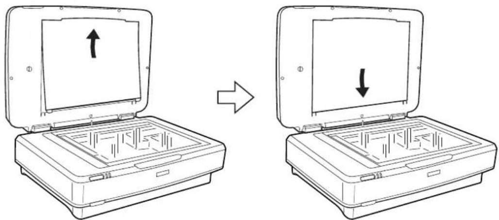 EPSON Expression 13000XL - Numériser des originaux par réflexion (autres que des pellicules) - 2