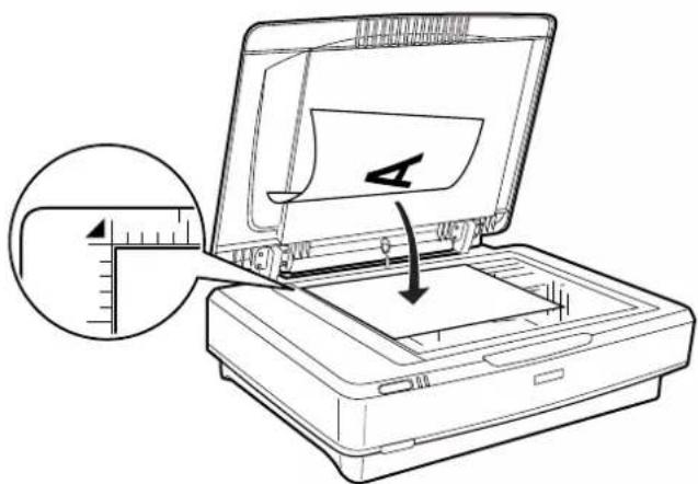 EPSON Expression 13000XL - Positionnement des originaux - 2