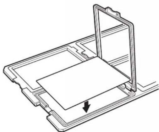 EPSON Expression 13000XL - Plaque 4 × 5 pouces - 2