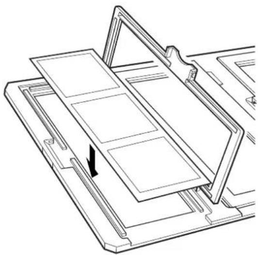 EPSON Expression 13000XL - Format moyen (120/220) - 2