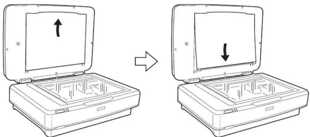 EPSON Expression 13000XL - Installation de l'unité pour transparens - 3