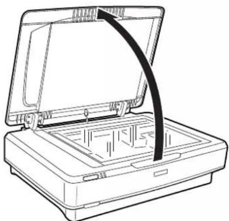 EPSON Expression 13000XL - Mise en place de documents épais ou de grande dimension - 1