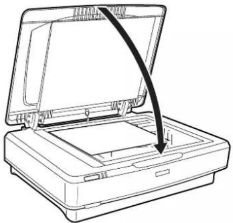 EPSON Expression 13000XL - Remarque: - 1