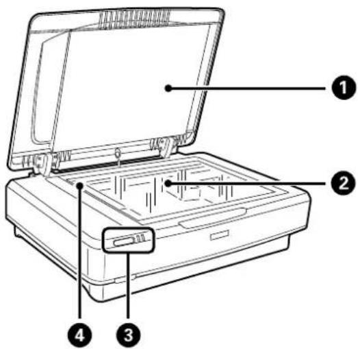 EPSON Expression 13000XL - Nom des éléments - 2