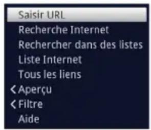 Saisir URL Recherche Internet Rechercher dans des listes Liste Internet Tous les liens < Aperçu < Filtre Aide