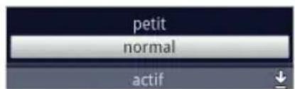 petit normal actif