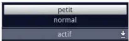 petit normal actif