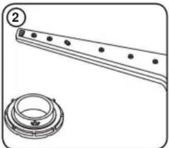 Benavent LVBV45DW - Omplit amb sal (SI ESTÀ DISPONIBLE) - 2