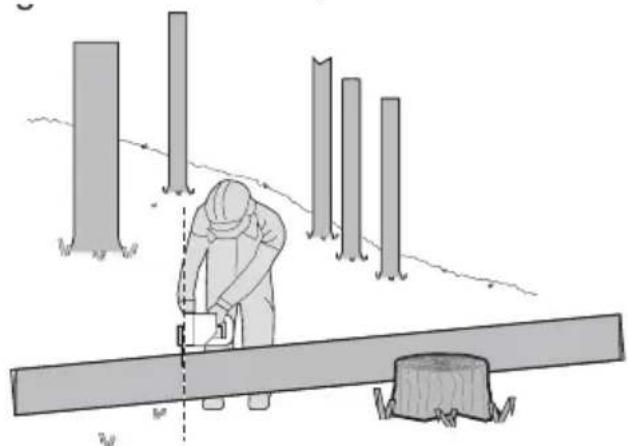 KRESS KG343E.9 - Tronçonner les troncs d'arbre - 4