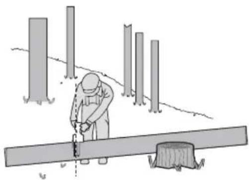 KRESS KG343E.9 - Takken van de gevelde boom afzagen - 5