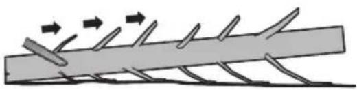 KRESS KG343E.9 - Limbing a tree - 1