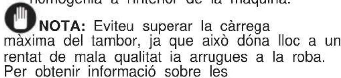 Benavent LBV6D - Introduir la bugada a la màquina - 2