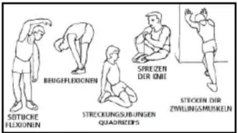 BH FITNESS G2336B - 1.Aufwärmphase - 1