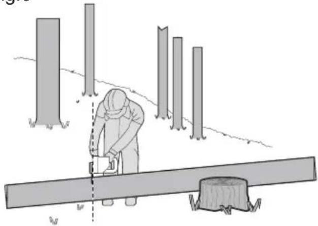KRESS KG367E.9 - Tronçonner les troncs d'arbre - 4