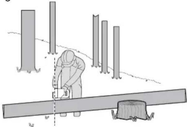 KRESS KG367E.9 - Cortar troncos ao comprimento - 4