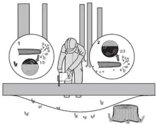 KRESS KG367E.9 - Tronçonner les troncs d'arbre - 3
