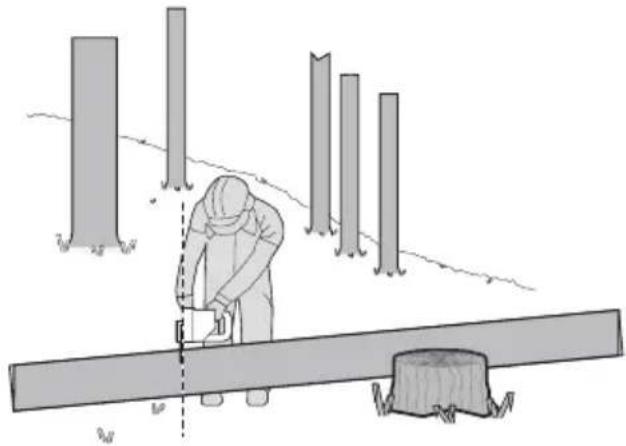 KRESS KG367E.9 - Takken van de gevelde boom afzagen - 5