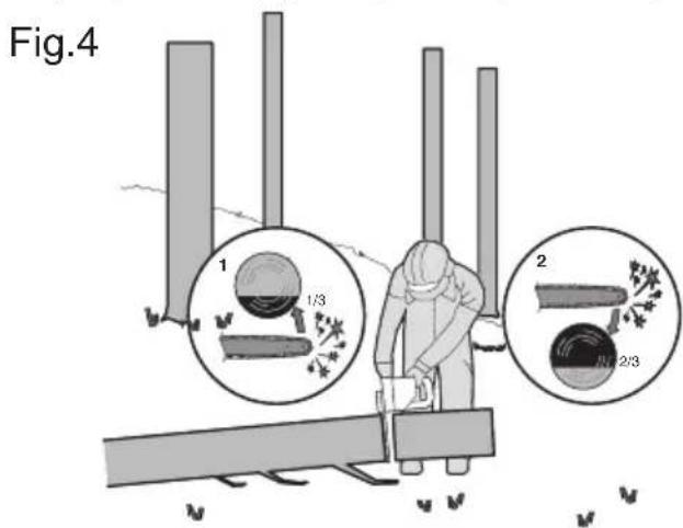 KRESS KG367E.9 - Tronçonner les troncs d'arbre - 2