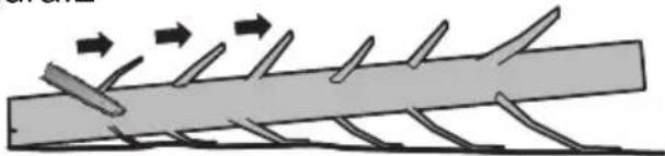 KRESS KG367E.9 - Fazer o corte de abate - 2