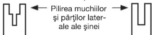 KRESS KG367E.9 - Condițiile care impun întreținerea lantului și a lamei de ghidare: - 1